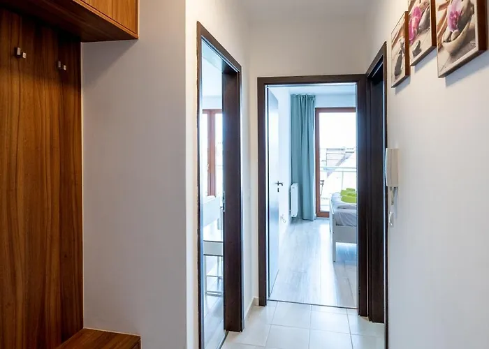 T7 Modern And Comfortable *