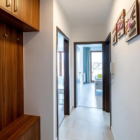 T7 Modern And Comfortable *